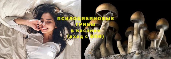 мет Кинешма