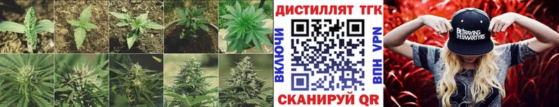 Купить закладки  Обоянь  ТГК Wax 